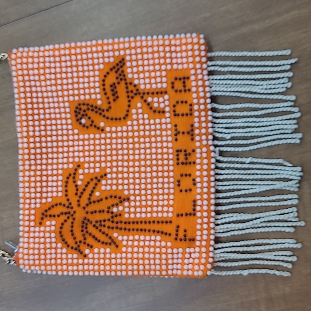 Vintage beaded crossbody Florida bag